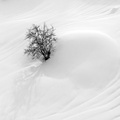 ppichard dune de neige
