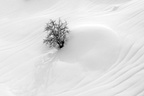 ppichard dune de neige