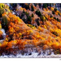 Un automne dans le Val d'Aran 06