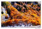 Un automne dans le Val d'Aran 06
