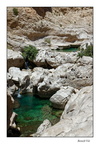 Wadi bani Khalid