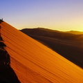 PP - La dune