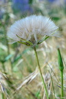  DSC5688