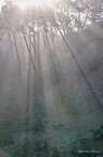 Asturies-2026